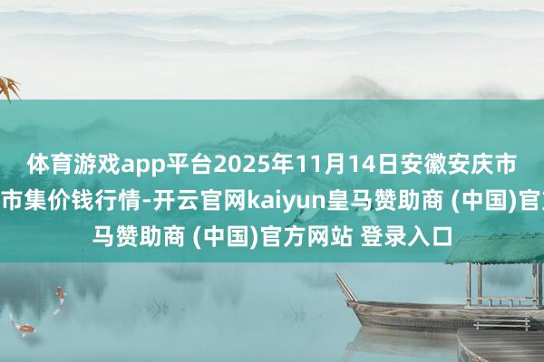 体育游戏app平台2025年11月14日安徽安庆市龙狮桥蔬菜批发市集价钱行情-开云官网kaiyun皇马赞助商 (中国)官方网站 登录入口