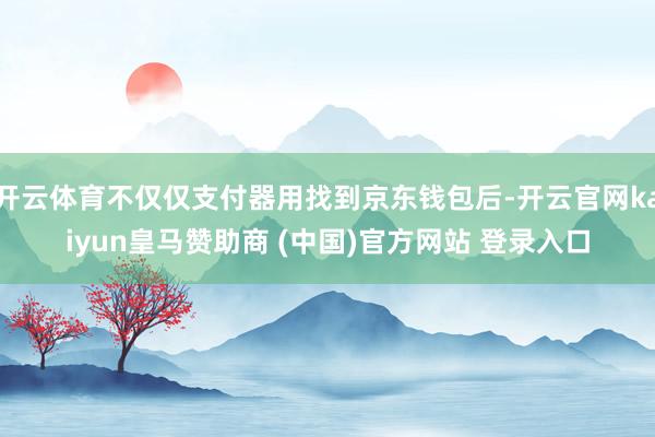 开云体育不仅仅支付器用找到京东钱包后-开云官网kaiyun皇马赞助商 (中国)官方网站 登录入口